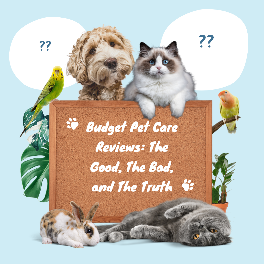 Budget pet care reviews