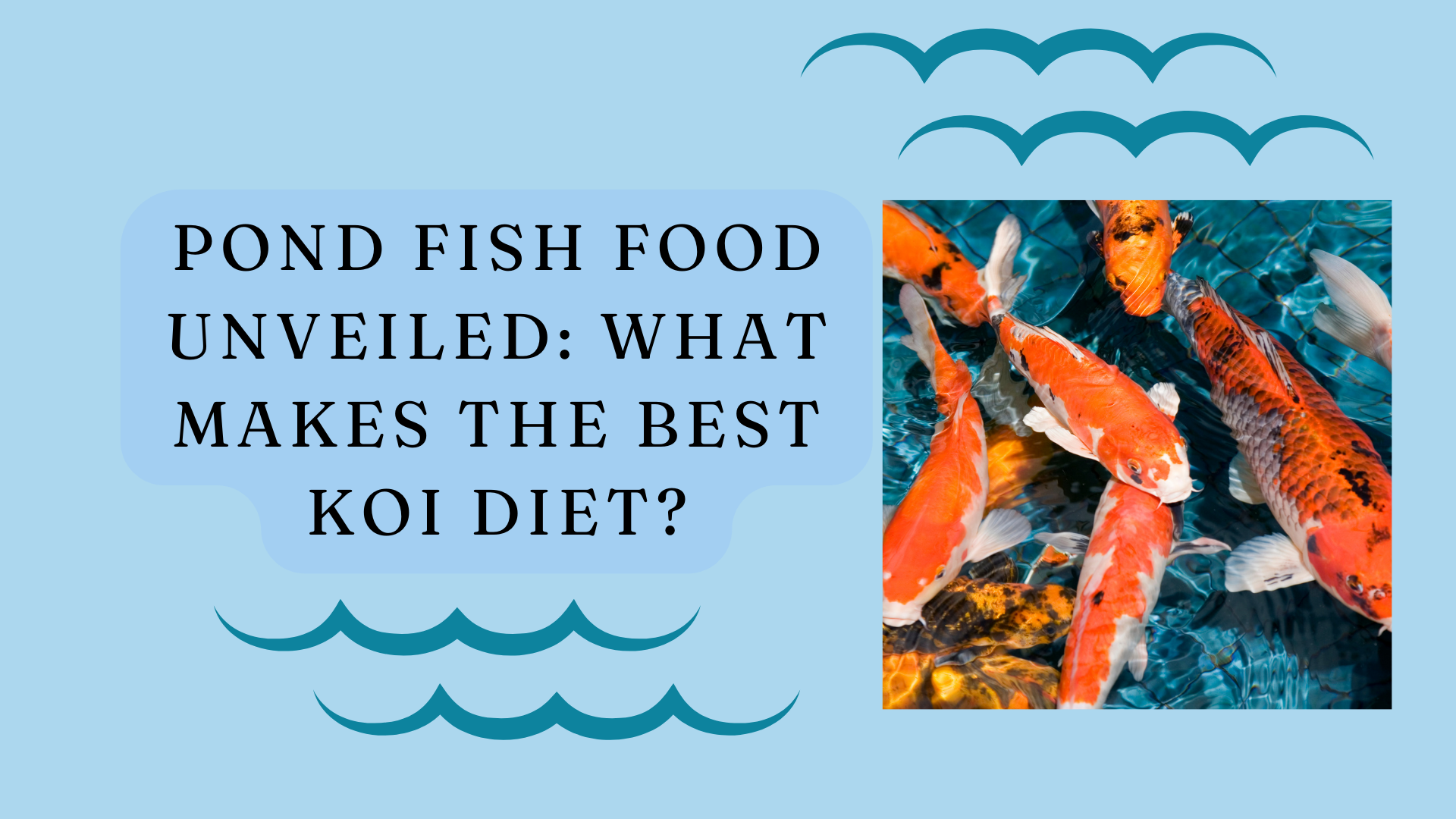Koi fish food