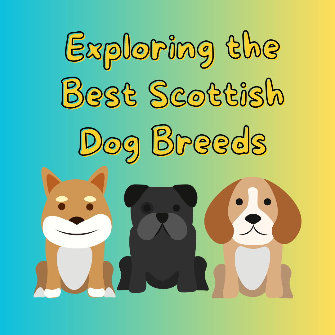 Scottish dogs breeds