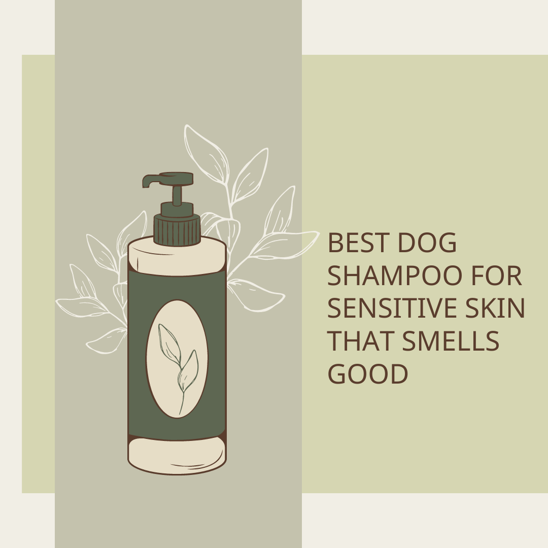 best dog shampoo for sensitive skin that smells good