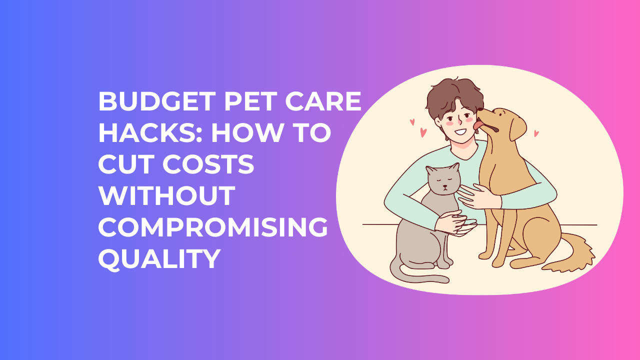budget pet care