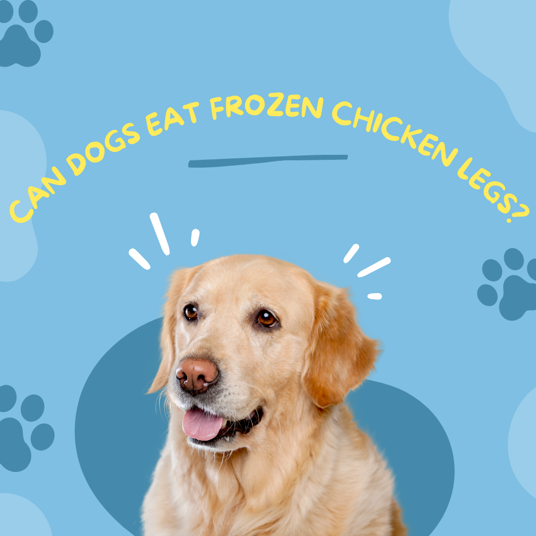 can dogs eat frozen chicken legs