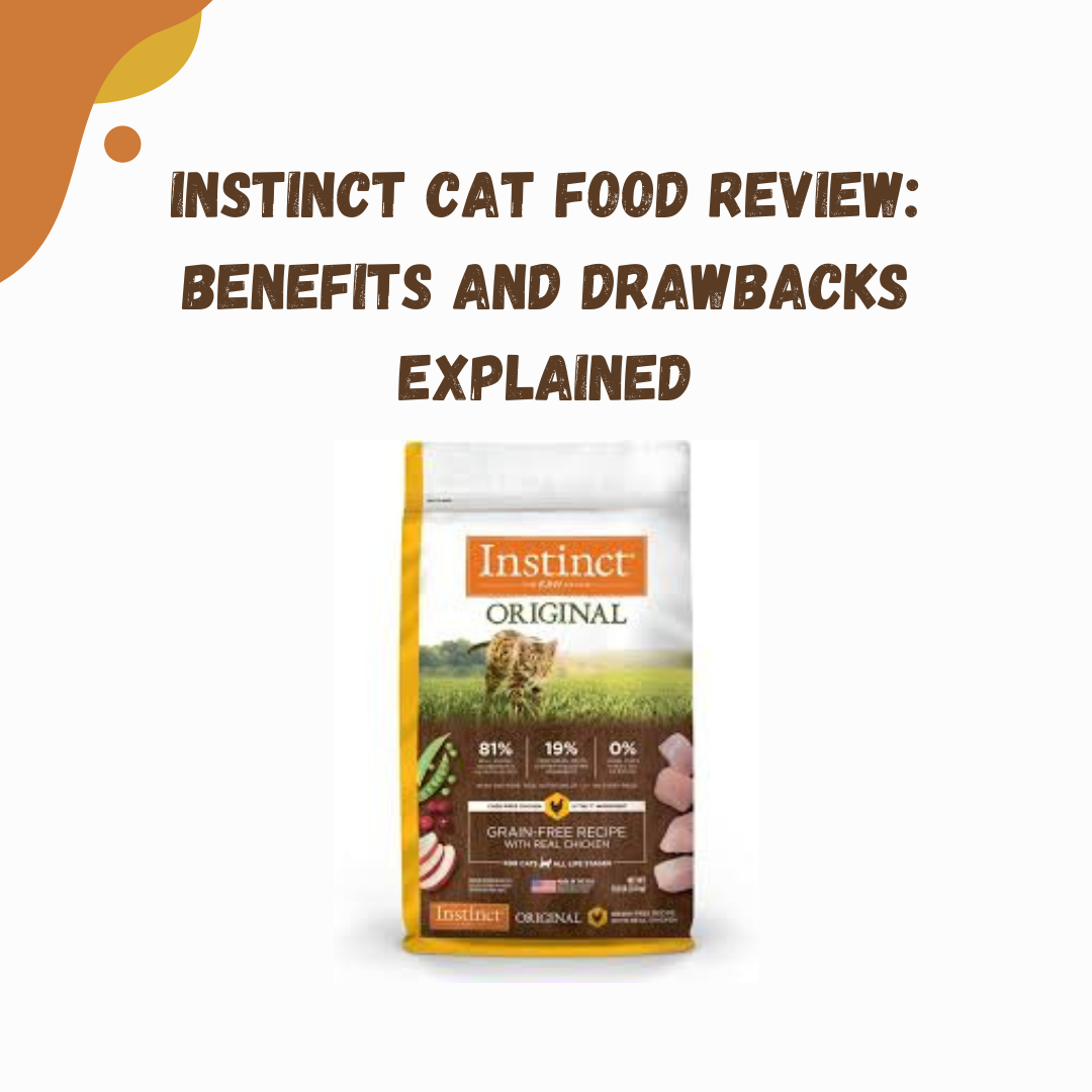 instinct cat food review