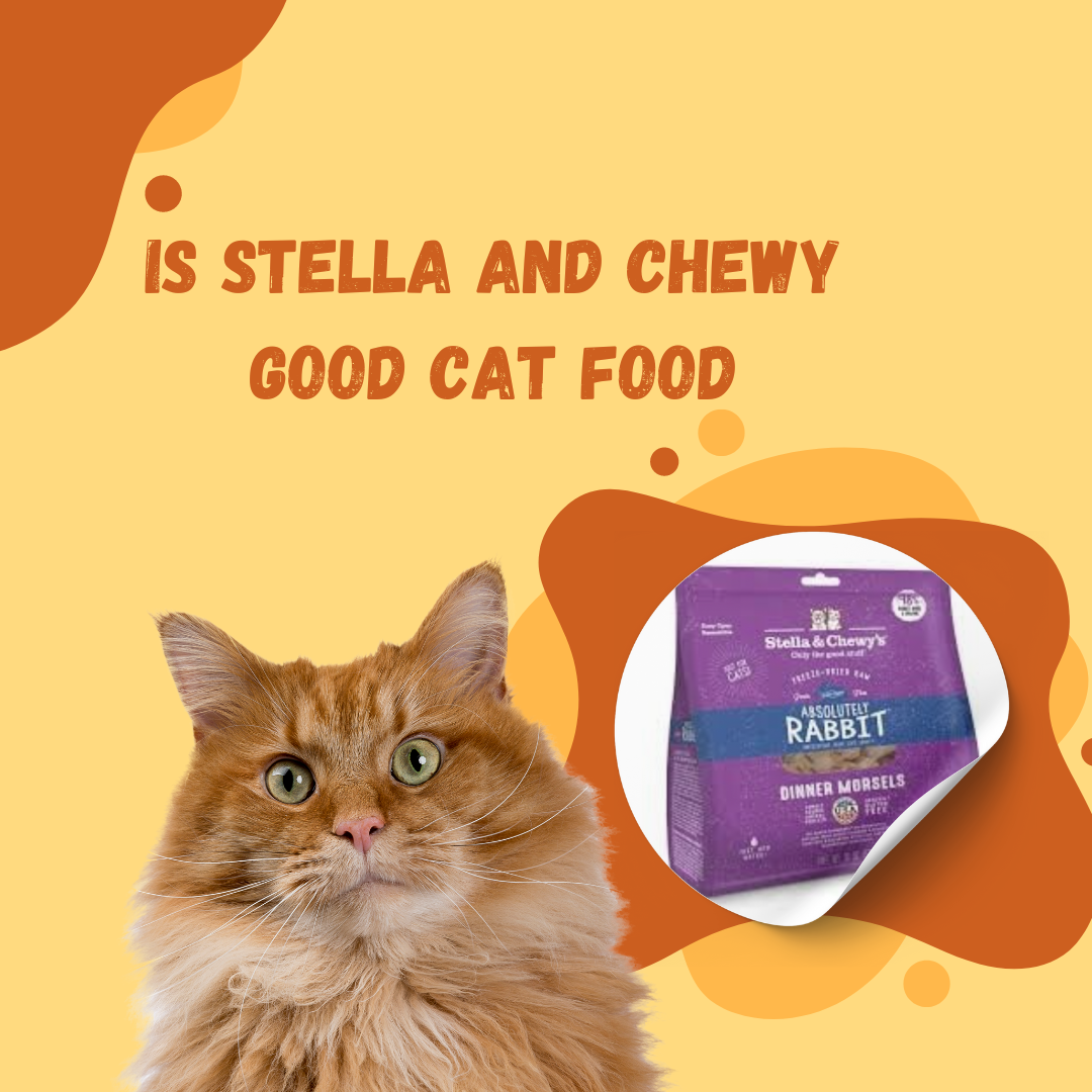 is stella and chewy good cat food