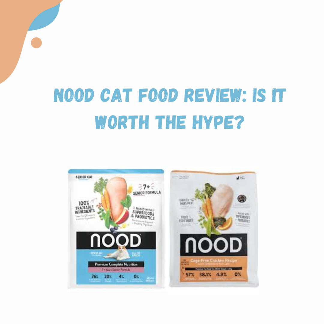 nood cat food review