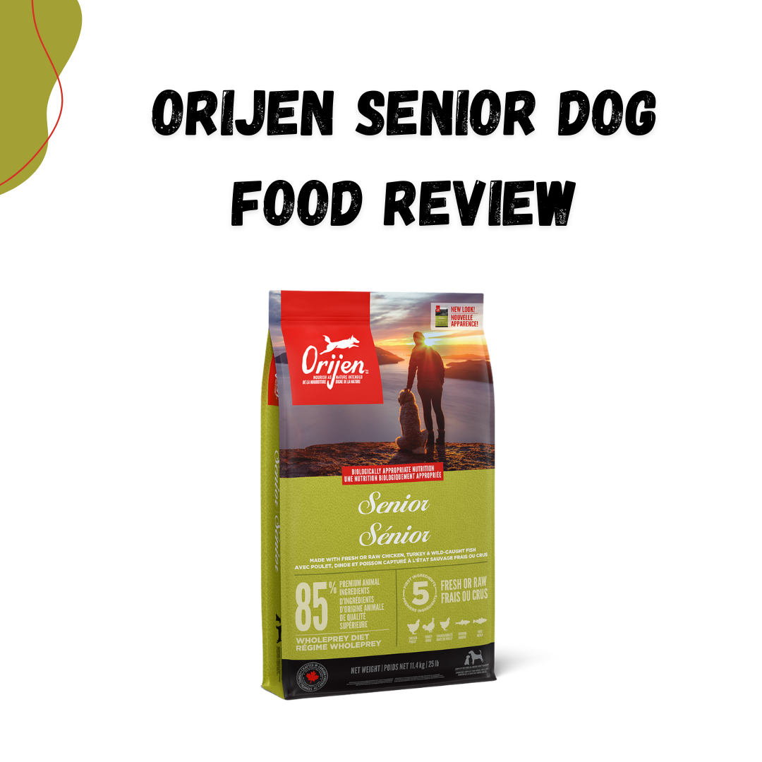 orijen senior dog food review