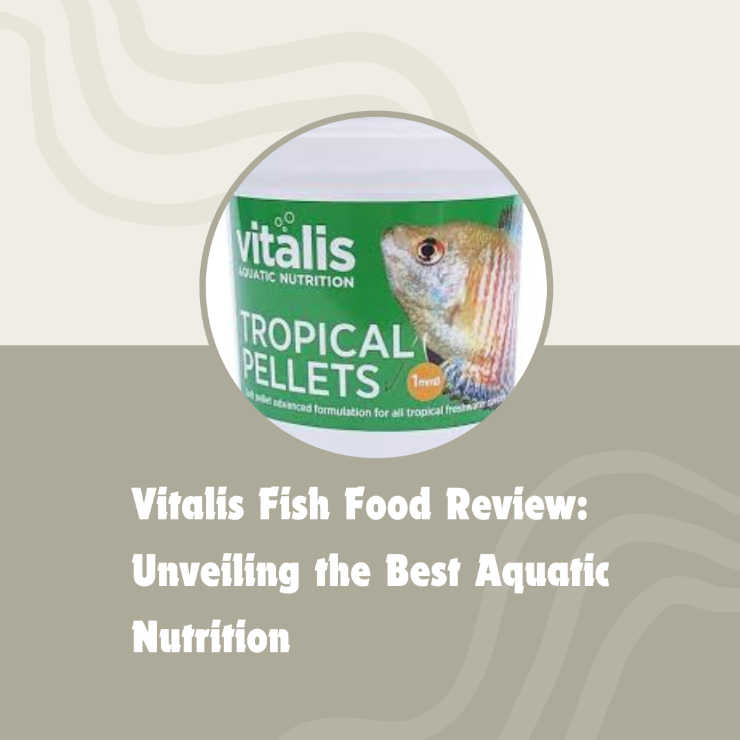 vitalis fish food review