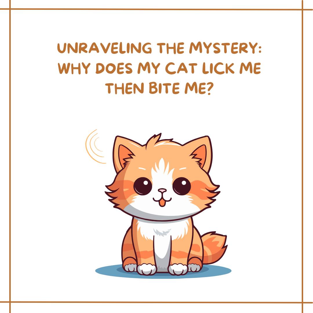 why do cats bite then lick