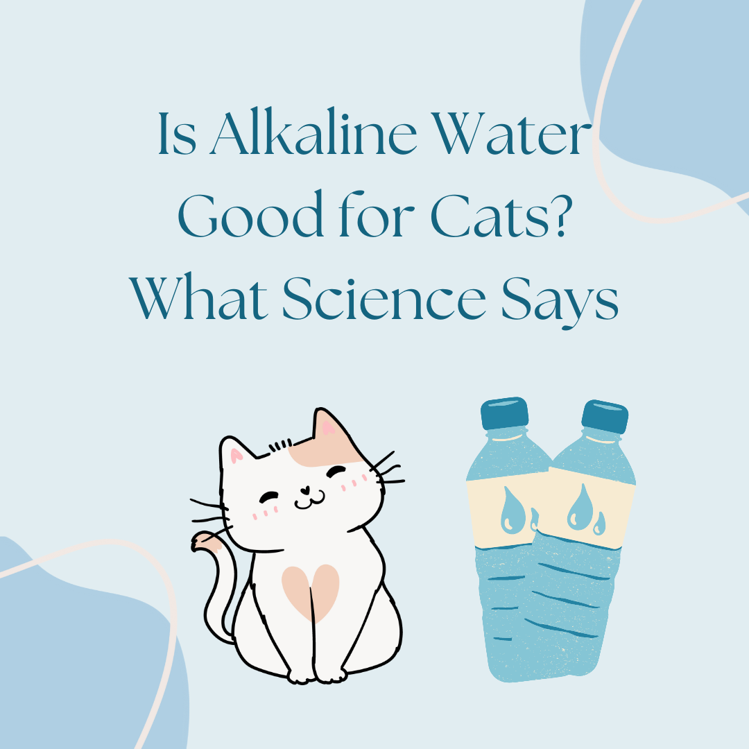 is alkaline water good for cats