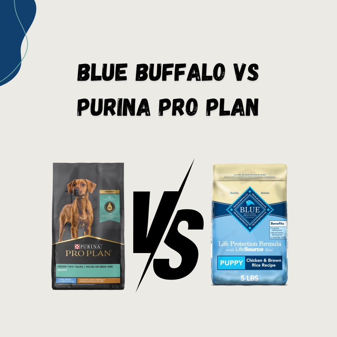 blue buffalo vs purina pro plan