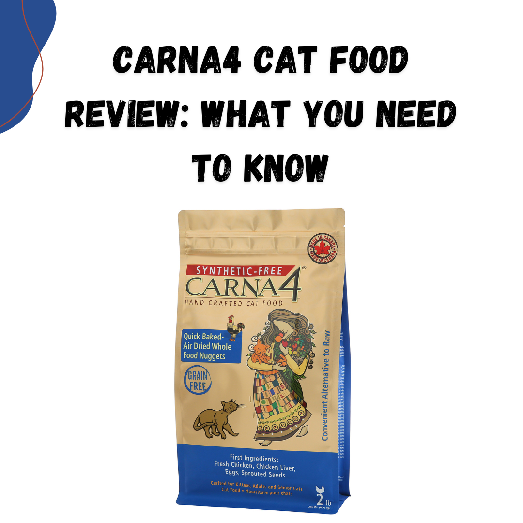 carna4 cat food review