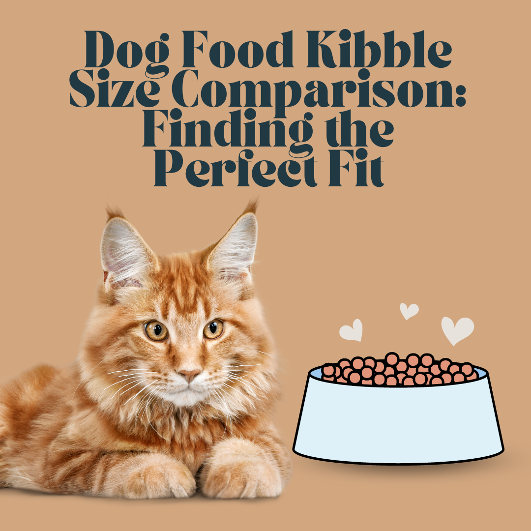 dog food kibble size comparison