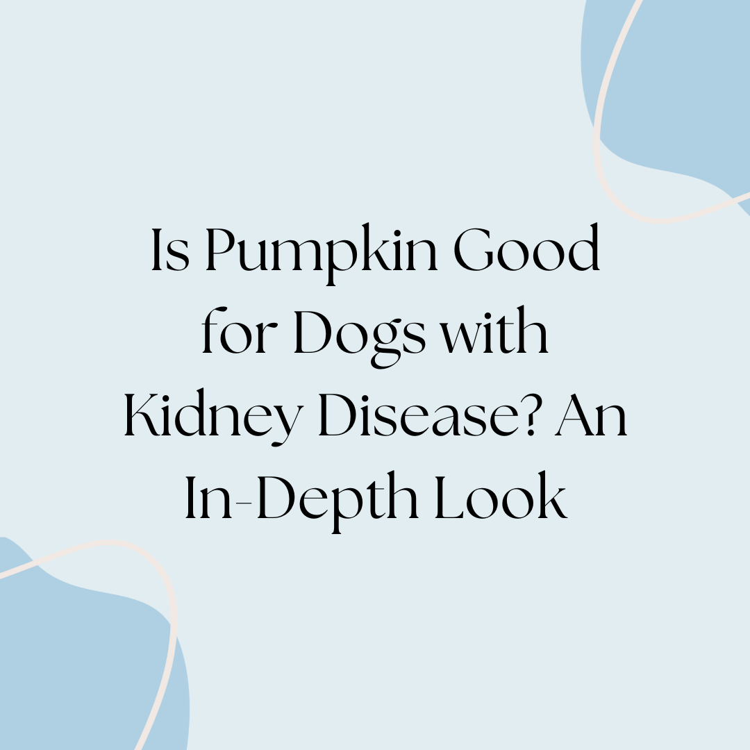 is pumpkin good for dogs with kidney disease