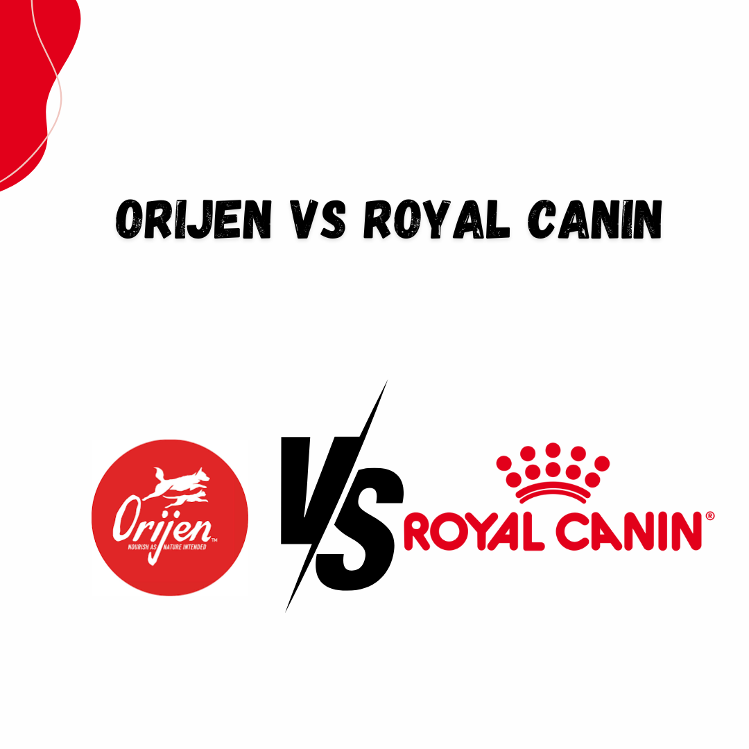orijen vs royal canin