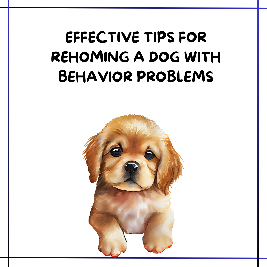 rehoming a dog with behavior problems